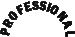 P R O F E S S I O N A L