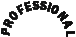 P R O F E S S I O N A L