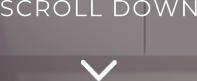 SCROLL DOWN