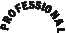 P R O F E S S I O N A L